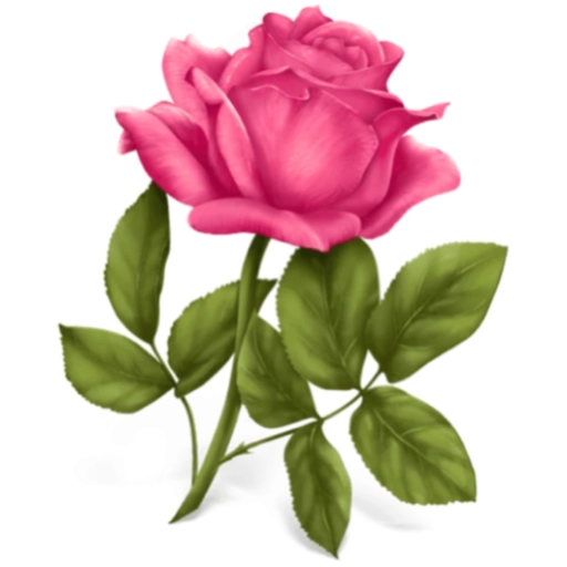 FLORES 🌹🌻💐 9
