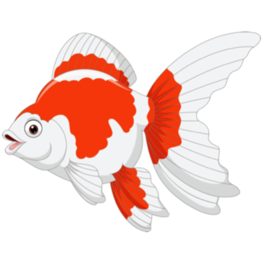 Fancy Goldfish