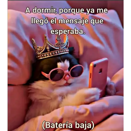 Remixteada ❤🤠 30