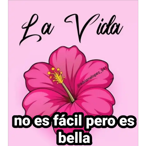 Agosto 2026 🍀🫧02 14