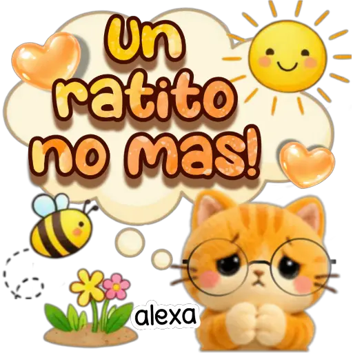 Riki ha llegado! ❤️🐱☀️ 6