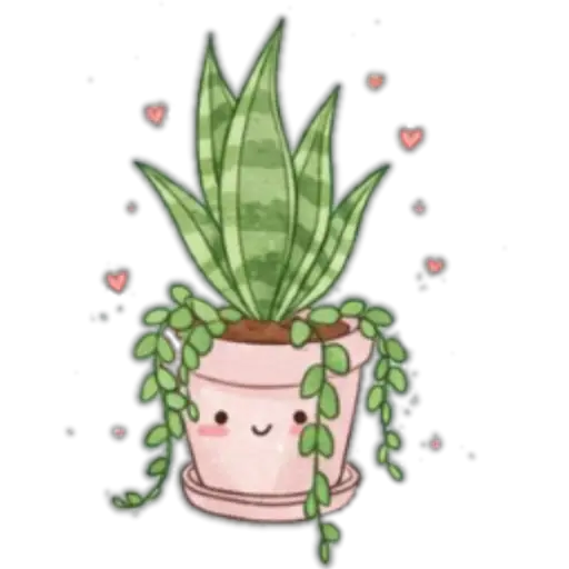 Flowers💐❥☯︎ͫ4🇲🇽Clásica 28