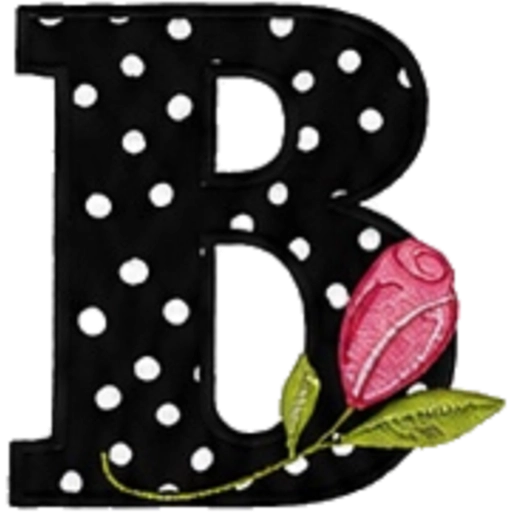 ALFABETO CON ROSA🌹⚫️⚪️ 16