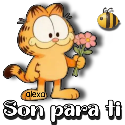 Garfield comunica!✨😽 1