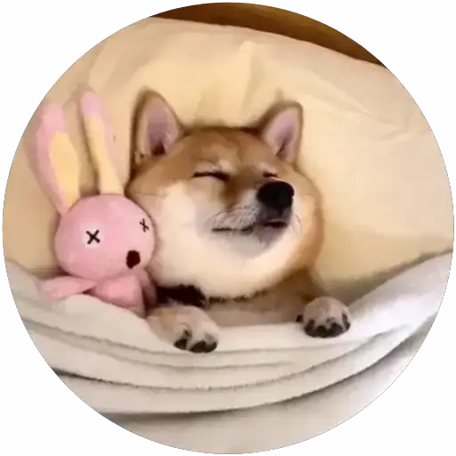 Lindos perritos🦴💞1🇵🇪Clásica 25