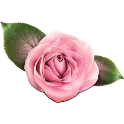 FLORES 🌹🌻💐 19