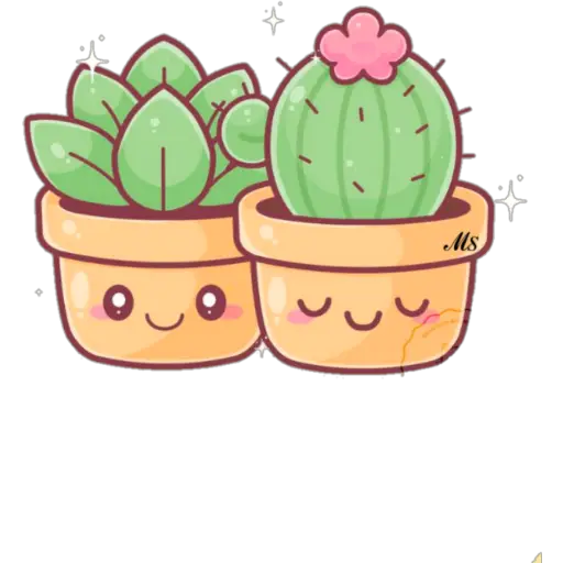 Flowers💐❥☯︎ͫ3🇲🇽Clásica 22
