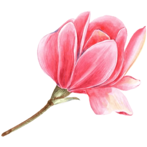 FLORES 🌹🌻💐 3