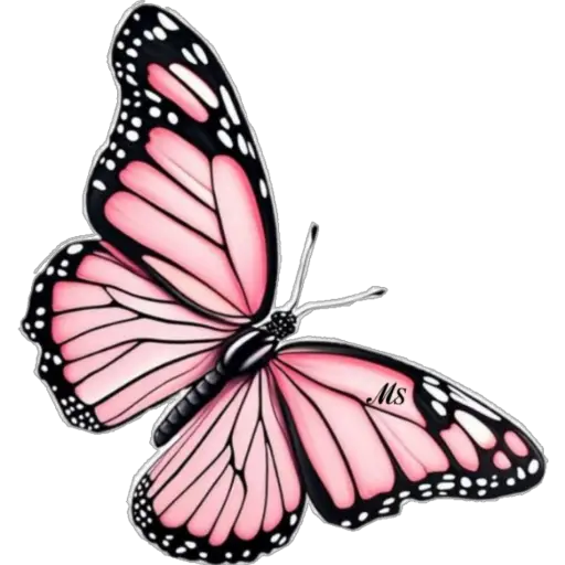 Butterfly🦋❥☯︎ͫ1🇲🇽Clásica 7