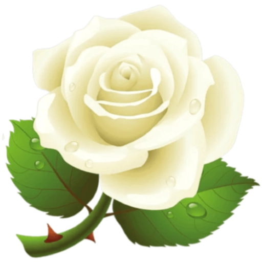 FLORES 🌹🌻💐 20