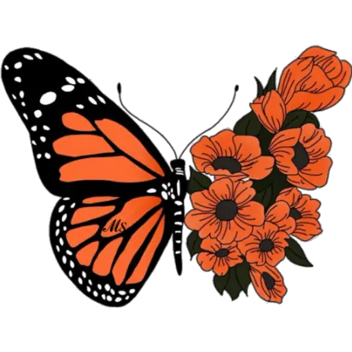 Butterfly🦋❥☯︎ͫ1🇲🇽Clásica 6