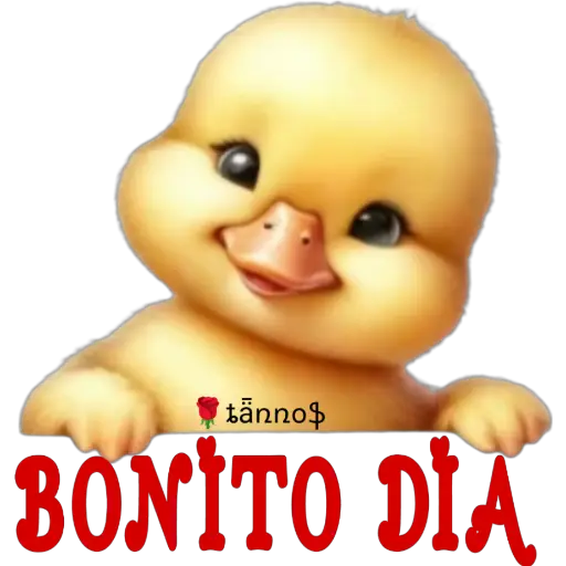 Buenos días☀️16 🇲🇽 1