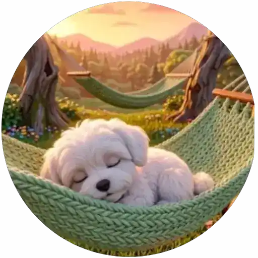 Lindos perritos🦴💞1🇵🇪Clásica 3