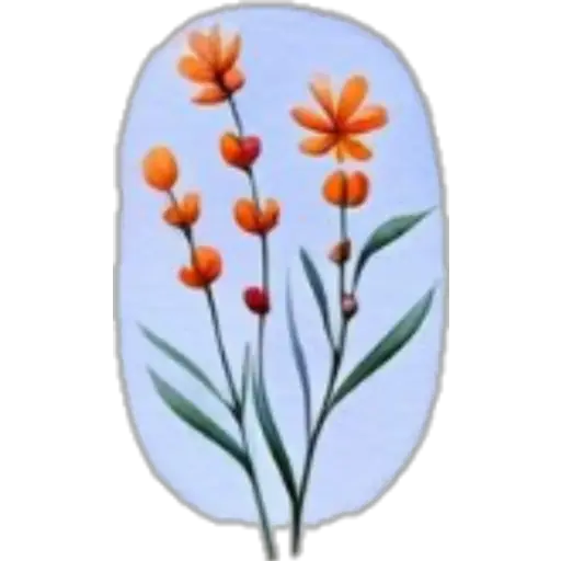 Flowers💐❥☯︎ͫ6🇲🇽Clásica 21