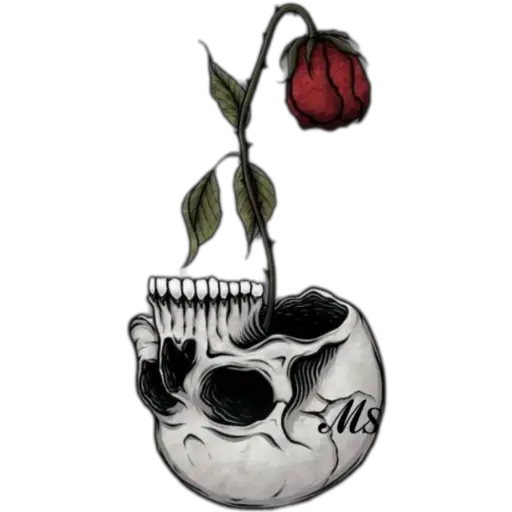 Rosa del cráneo