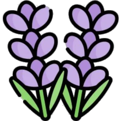 Flowers💐❥☯︎ͫ6🇲🇽Clásica 7