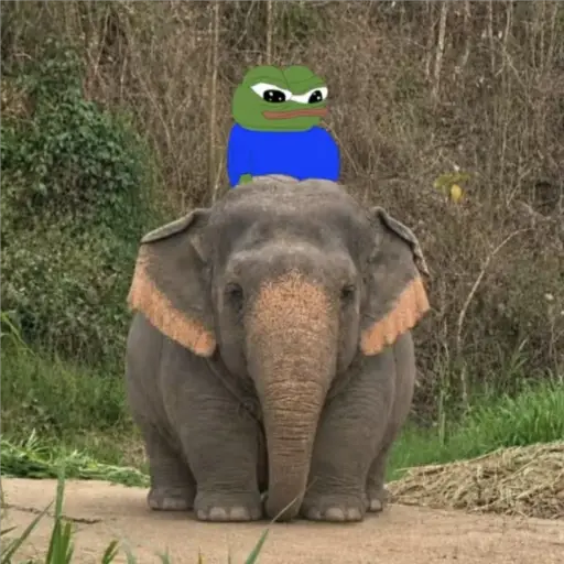 Elefante Chubby 🐘 1 21