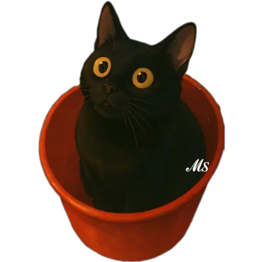 Gatitos❥☯︎ͫ8🇲🇽Clásica 17