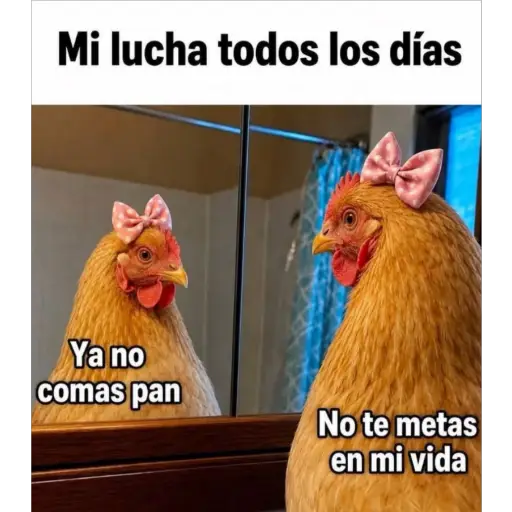 Adios Julio 2026 🫧♥ 3