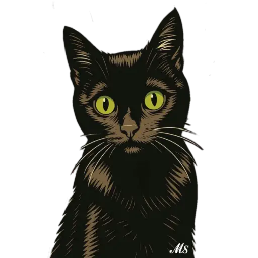 Gatitos❥☯︎ͫ8🇲🇽Clásica 15