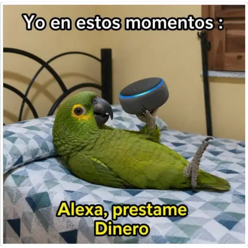 Julio Mix (2026)🧡🫧 8