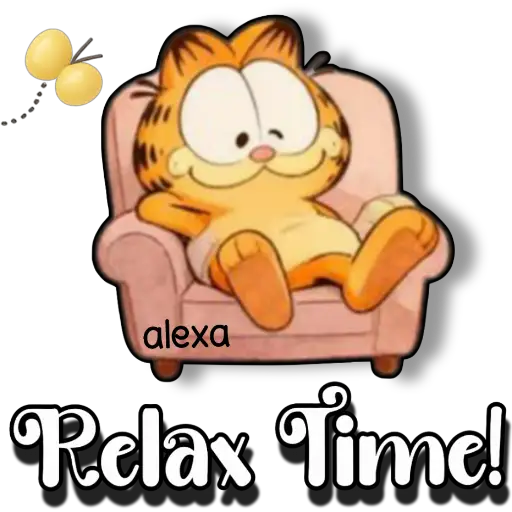 Garfield comunica!✨😽 11