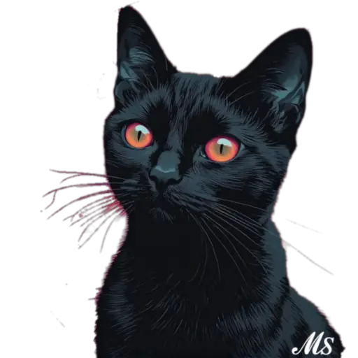 Gatitos❥☯︎ͫ8🇲🇽Clásica 12