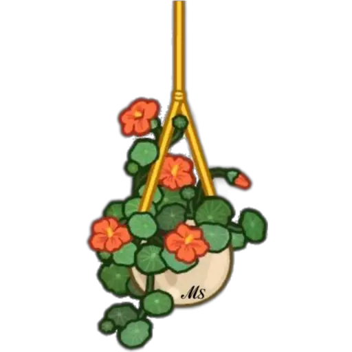 Flowers💐❥☯︎ͫ4🇲🇽Clásica 30