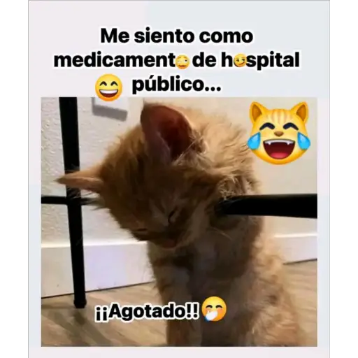 Julio Mix (2026)🧡🫧 13
