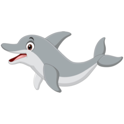 Happy Dolphin