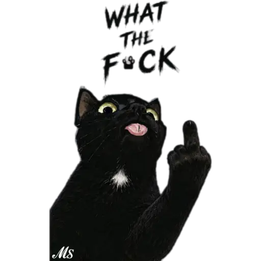 Кот с средним пальцем