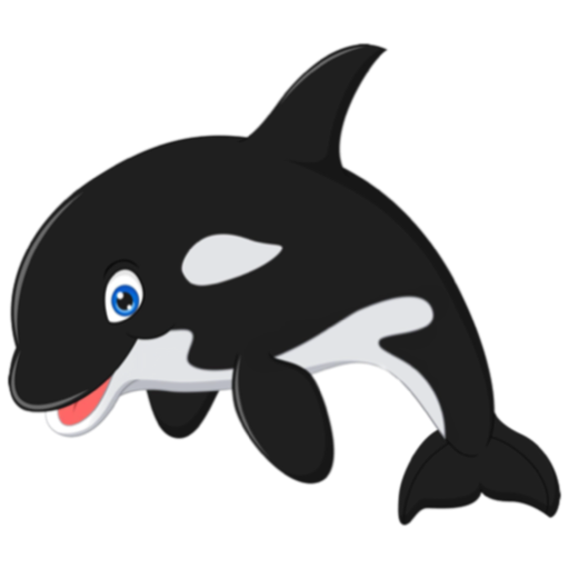 Smiling Orca