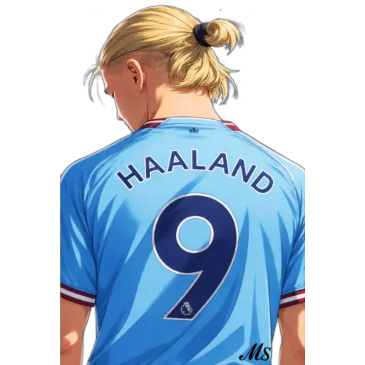 Haaland⚽❥☯︎ͫ1🇲🇽Clásica 11