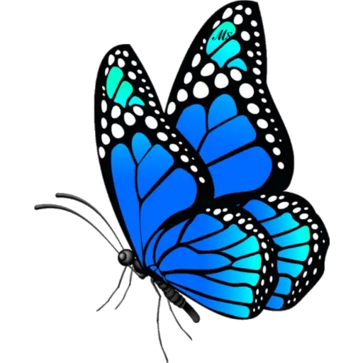 Butterfly🦋❥☯︎ͫ1🇲🇽Clásica 27