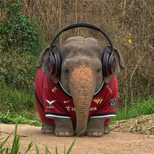 Elefante Chubby 🐘 1 19