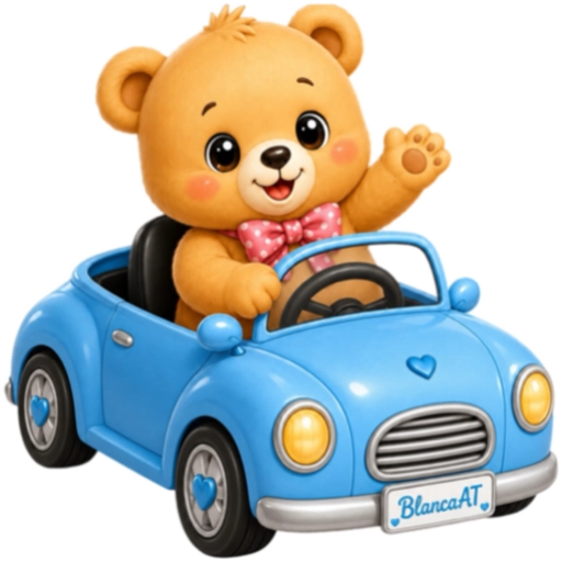 PAREJA DE OSITOS  🧸🐻🕶️🎀 12 🚙