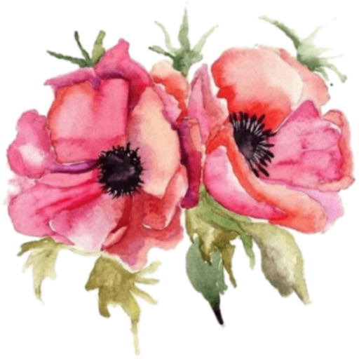 FLORES 🌹🌻💐 30