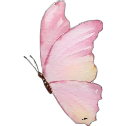 Butterfly🦋❥☯︎ͫ1🇲🇽Clásica 29