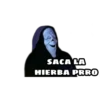 SACA LA
HIERBA PRRO