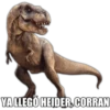 YA LLEGÓ HEIDER, CORRAN