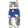 Gatitos hermosos 2 6