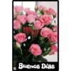 Frases de Buenos días 6