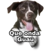 Que onda
Guau