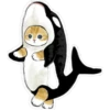 Gatitos hermosos 2 7