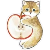 Gatitos hermosos 2 8