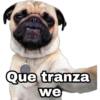 Que tranza
we