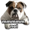 mmmmm
nel