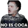 NO ES COCA