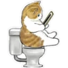 Gatitos hermosos 2 9