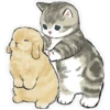 Gatitos hermosos 2 10